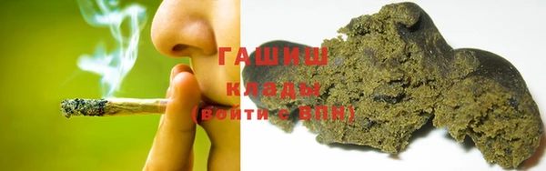 гашик Дмитров