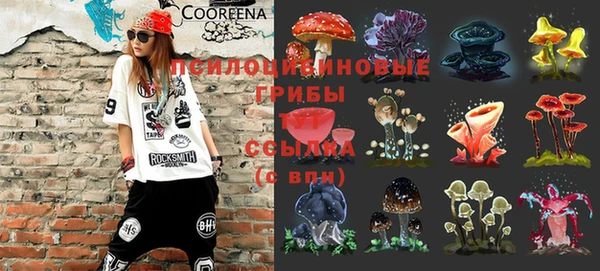 СК Дмитриев