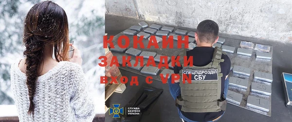 гашик Дмитров