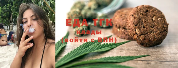гашик Дмитров