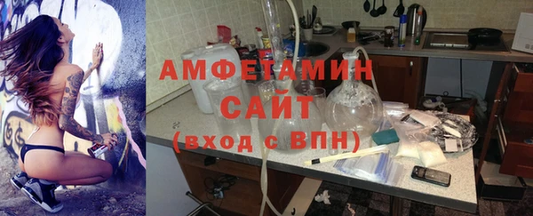 гашик Дмитров