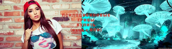 гашик Дмитров
