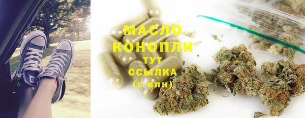 гашик Дмитров