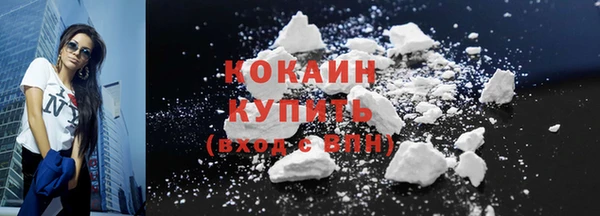 гашик Дмитров